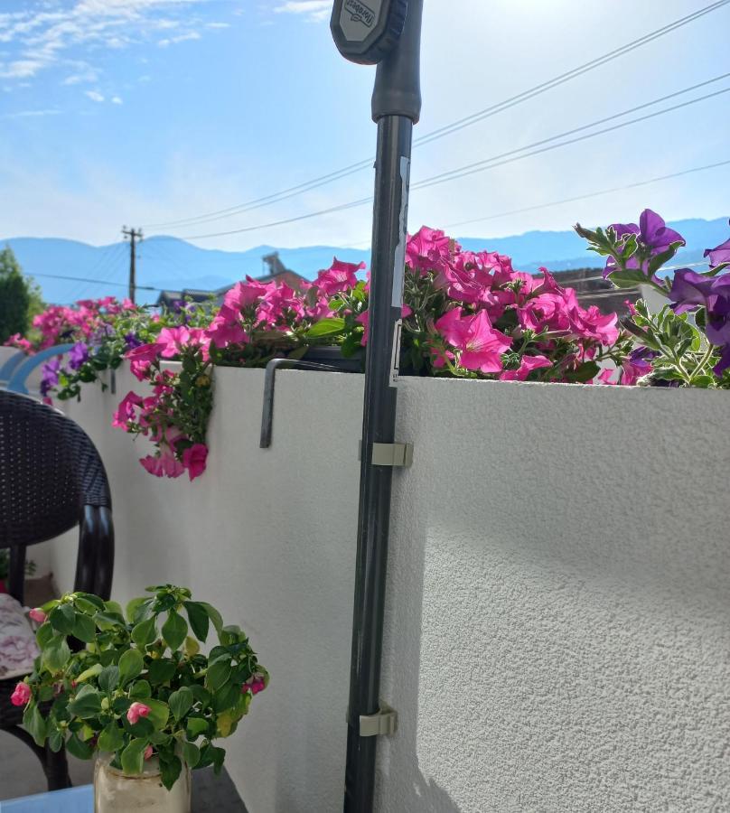Apartments Lido Ohrid Luaran gambar